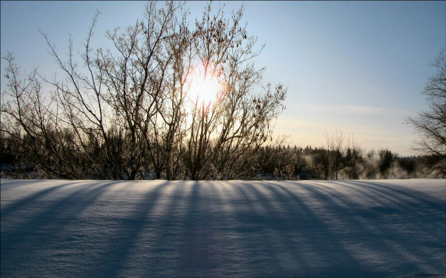 Snow covered field trees sun free wallpaper for desktop - medium preview image