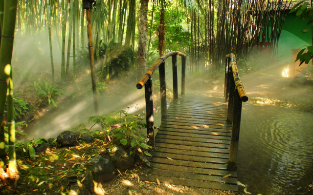 Bamboo woodenwalkway mist shining light free wallpaper for desktop - medium preview image
