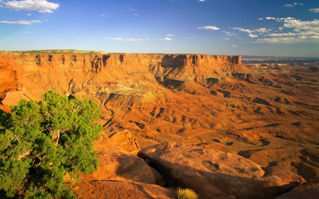 Canyon tree clouds sunset autumn free wallpaper for desktop - medium preview image