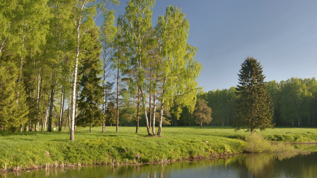 Grassy field river trees blue #2 free wallpaper for desktop - medium preview image
