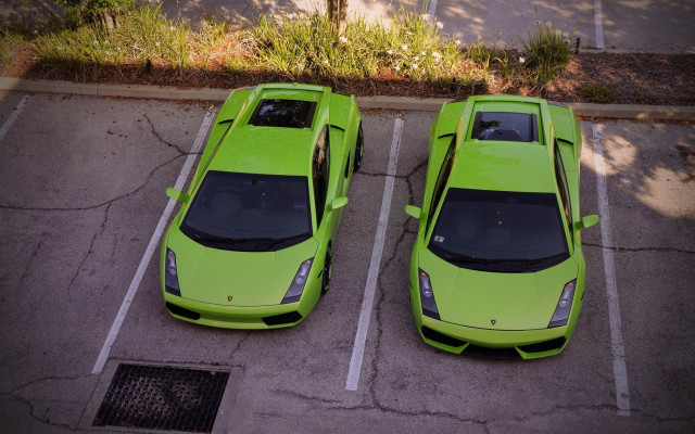 Lime green lambs parking lot free wallpaper for desktop - medium preview image