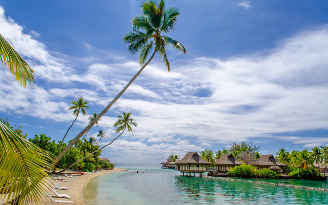 Tropical beach palm hut dock free wallpaper for desktop - medium preview image