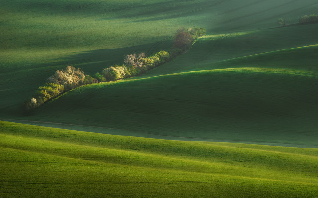 Green field trees hill mountain free wallpaper for desktop - medium preview image