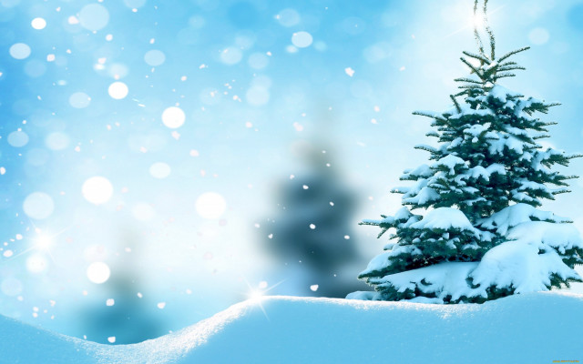 Christmas tree snow blue sky free wallpaper for desktop - medium preview image
