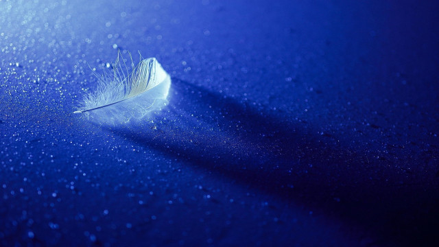 Feather blue surface water droplets #2 free wallpaper for desktop - medium preview image