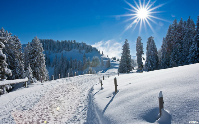 Snow mountain sun trees trail free wallpaper for desktop - medium preview image