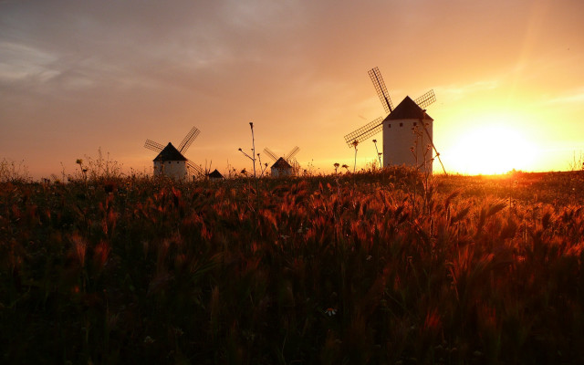 Sunset windmills field redflowers cinematic free wallpaper for desktop - medium preview image