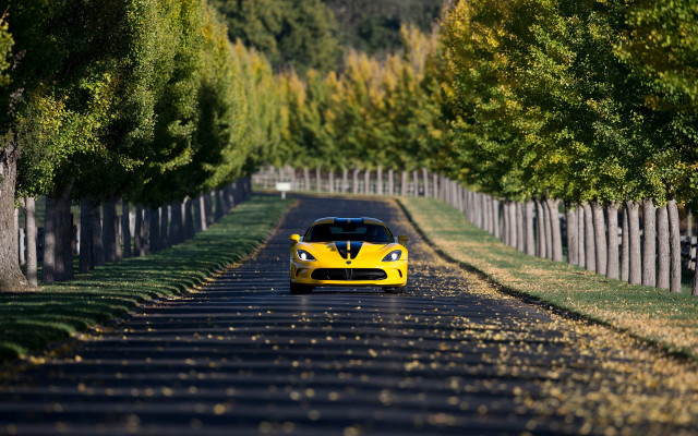 Yellow sports car road trees #2 free wallpaper for desktop - medium preview image