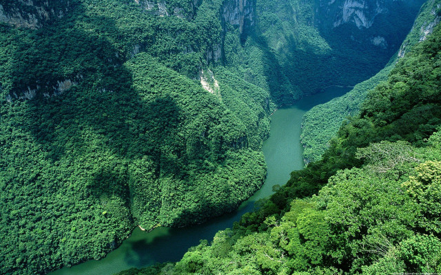 River valley green trees mountains free wallpaper for desktop - medium preview image