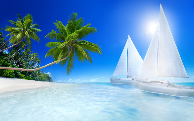 Sailboat boat tropical beach palm free wallpaper for desktop - medium preview image