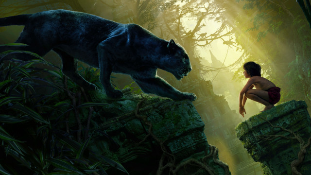 Woman kneeling black cat forest free wallpaper for desktop - medium preview image