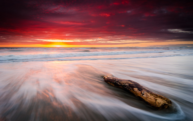 Beach sunset wooden log ocean free wallpaper for desktop - medium preview image
