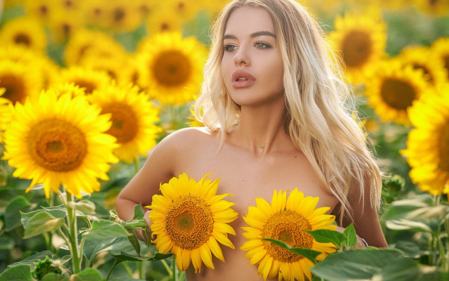 Sunflower field woman blowing wind free wallpaper for desktop - medium preview image