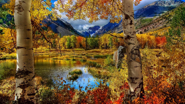 Mountain lake fall foliage trees free wallpaper for desktop - medium preview image