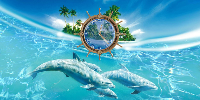 Clock dolphins ocean palm trees free wallpaper for desktop - medium preview image