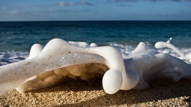 White sand beach surrealist sculpture free wallpaper for desktop - medium preview image