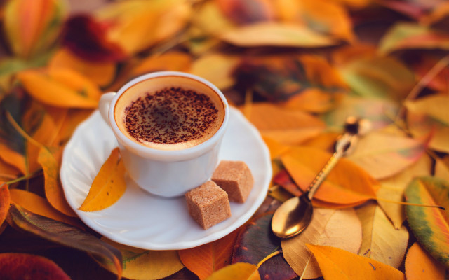 Coffee leaves spoon autumn bokeh free wallpaper for desktop - medium preview image