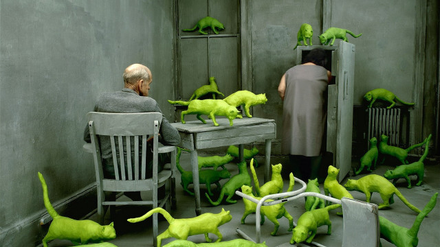 Surreal man green cats desk free wallpaper for desktop - medium preview image