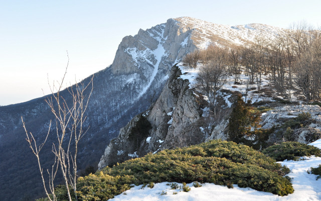 Mountain snow covered trees panorama free wallpaper for desktop - medium preview image