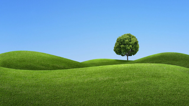 Lone tree grassy field blue #3 free wallpaper for desktop - medium preview image