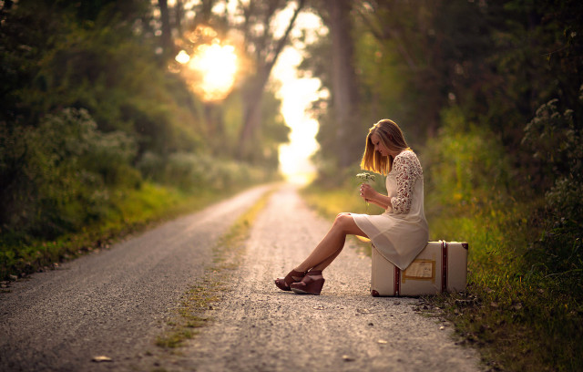 Woman suitcase flower outdoor forest free wallpaper for desktop - medium preview image