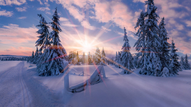 Snowy landscape trees fence sunset free wallpaper for desktop - medium preview image