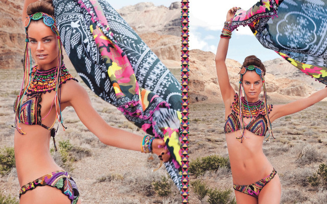Desert kitsch summer vibrant bikini free wallpaper for desktop - medium preview image