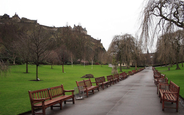 Wooden benches sidewalk lush park free wallpaper for desktop - medium preview image
