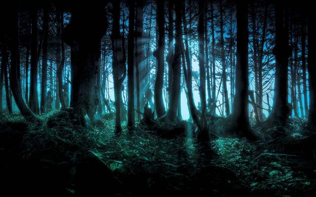 Forest light rays gothic matte free wallpaper for desktop - medium preview image