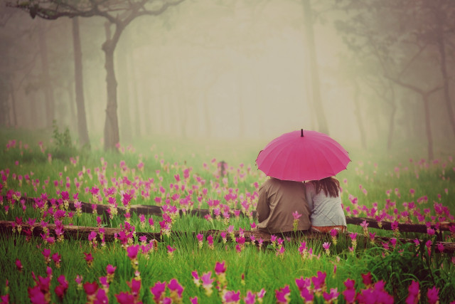 Couple under umbrella flower field free wallpaper for desktop - medium preview image