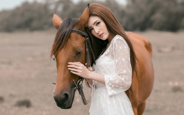 Woman white dress horse field #2 free wallpaper for desktop - medium preview image
