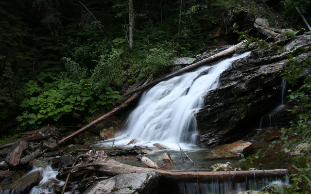 Waterfall forest rocks trees fallen free wallpaper for desktop - medium preview image