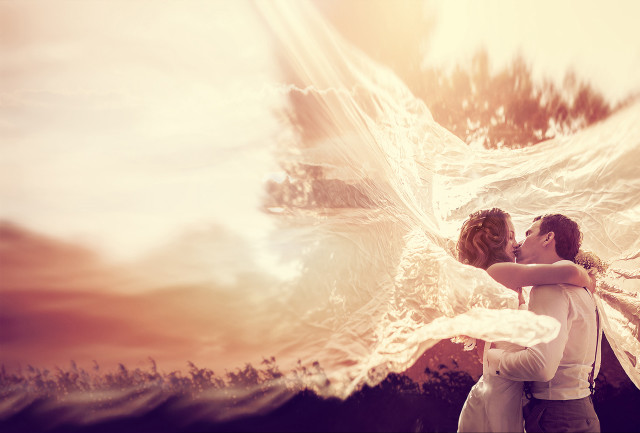 Couple hugging bird tree painting free wallpaper for desktop - medium preview image