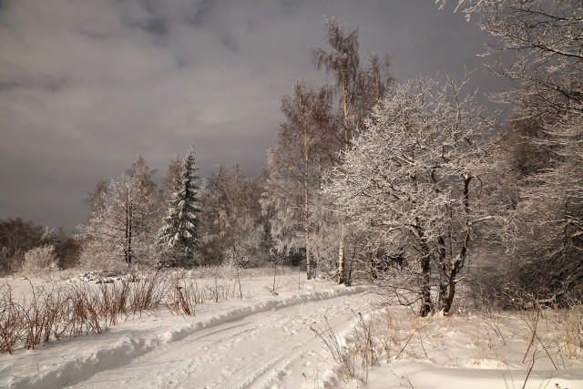 Snowy road trees bushes cloudy #2 free wallpaper for desktop - medium preview image