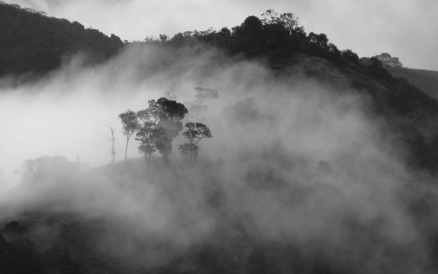 Foggy mountain hill trees houses free wallpaper for desktop - medium preview image