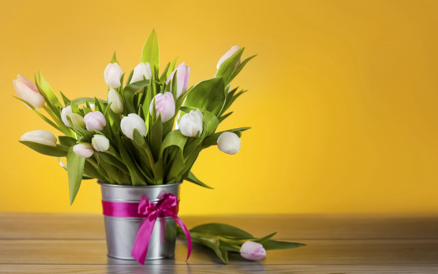 Tulips tin can pink ribbon free wallpaper for desktop - medium preview image