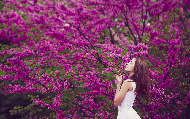 Woman white dress purple flowers #2 free wallpaper for desktop - medium preview image