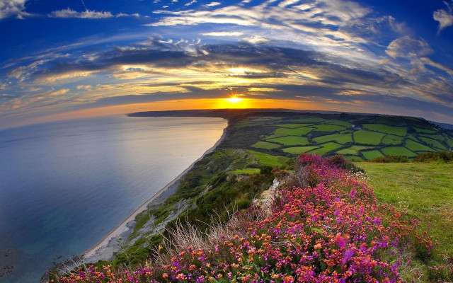 Sunset grassy hill flower water #2 free wallpaper for desktop - medium preview image