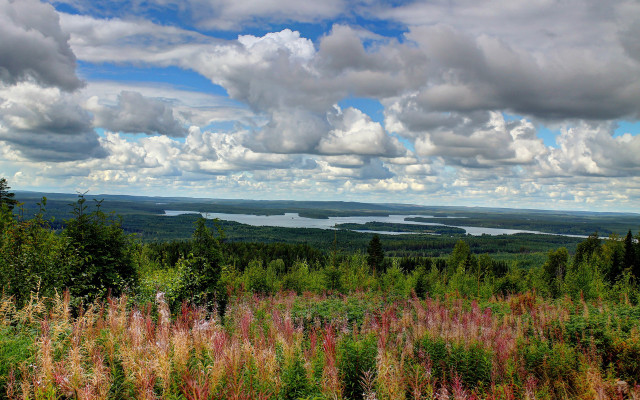 Lake forest hilltop clouds panorama free wallpaper for desktop - medium preview image
