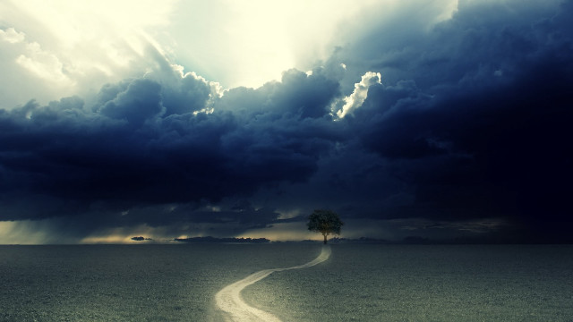 Lone tree field cloudy sky #33 free wallpaper for desktop - medium preview image