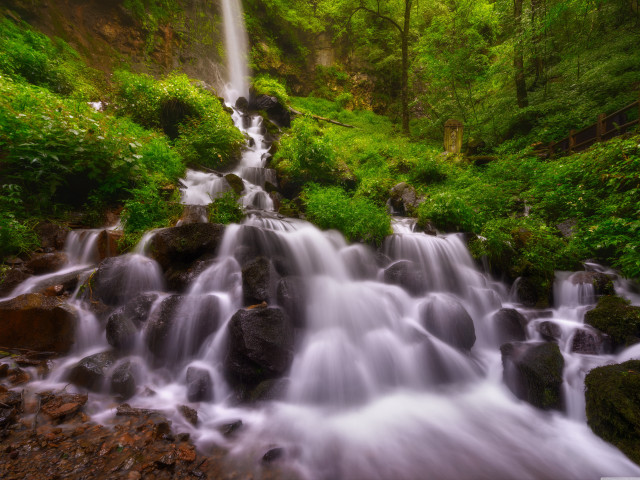 Waterfall forest rocks trees stream #4 free wallpaper for desktop - medium preview image