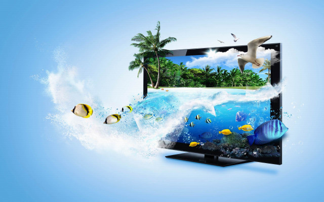 Tropical scene tv bird wave free wallpaper for desktop - medium preview image