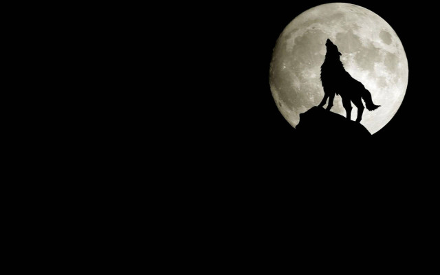 Wolf hill fullmoon gothic illustration free wallpaper for desktop - medium preview image