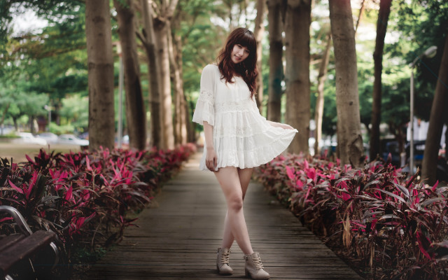 Woman white dress park wooden free wallpaper for desktop - medium preview image