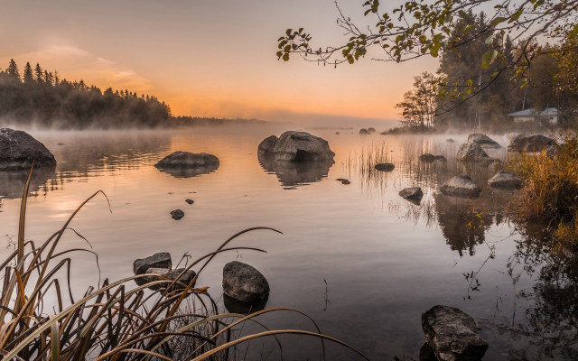 Lake rocks water fog trees free wallpaper for desktop - medium preview image