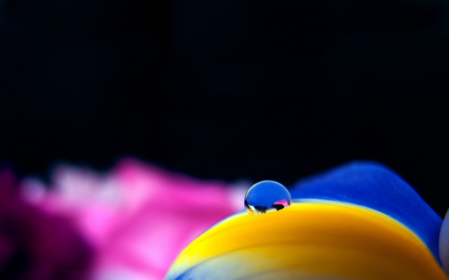 Colorful object water drop macro free wallpaper for desktop - medium preview image