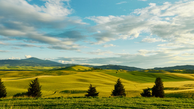 Green field trees mountains clouds free wallpaper for desktop - medium preview image