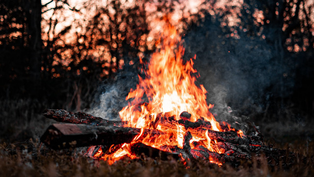 Firewood burning embers autumn forest free wallpaper for desktop - medium preview image