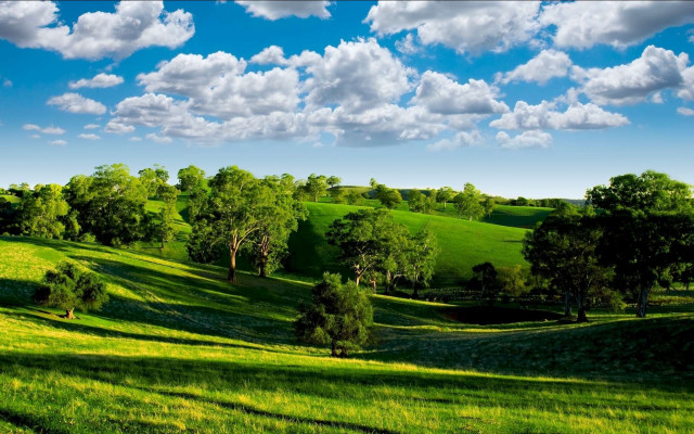 Green field trees clouds blue #6 free wallpaper for desktop - medium preview image