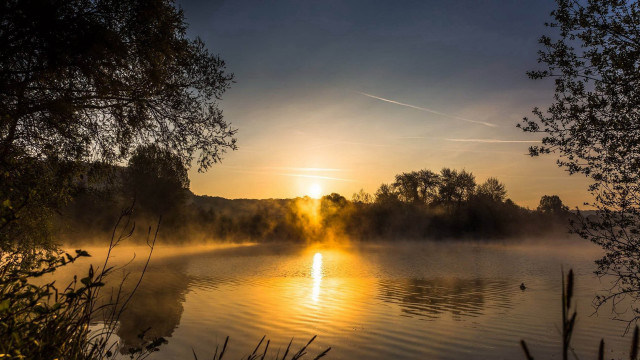 Lake sunset fog trees impasto free wallpaper for desktop - medium preview image